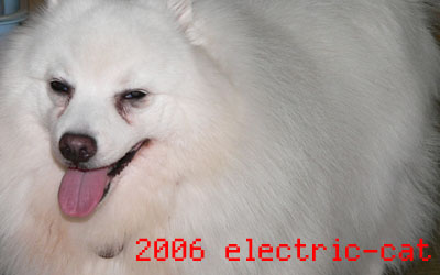 e-cat